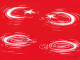 ZEHRA İPŞİROĞLU:BAYRAK VE ŞİDDET,BAYRAK VE ZAFER