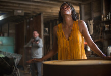 Halle Berry’in Oynadığı ‘Anne’ 4 Ağustosta 2017 Sinemalarda