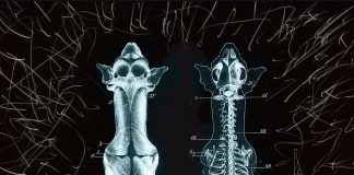 Heyecanla beklenen ‘Dogville’ prömiyeri Glass Room’da gerçekleştirildi