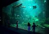 Merlin Entertainments’dan Yazın Son Kampanyası: