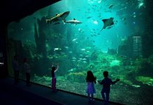 Merlin Entertainments’dan Yazın Son Kampanyası: