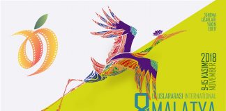 MALATYA FİLM FESTİVALİ AFİŞİNDE BAŞROL TURNA’NIN!
