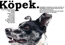 Asmalı Sahne’nin Yeni oyunu ‘Köpek’ İzleyicisiyle Buluşuyor