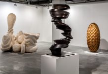Anthony Cragg’in “İnsan Doğası” sergisi