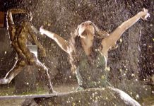5.Uluslararası Dans Film Festivali Başladı