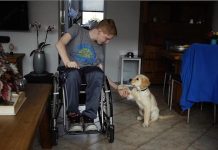 REHBER KÖPEKLER 7. ENGELSİZ FİLMLER FESTİVALİ’NDE