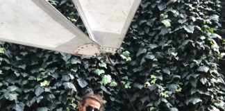 ‘YO’ ile Egemen Tükle Rap’in Kralları ile yarışacak