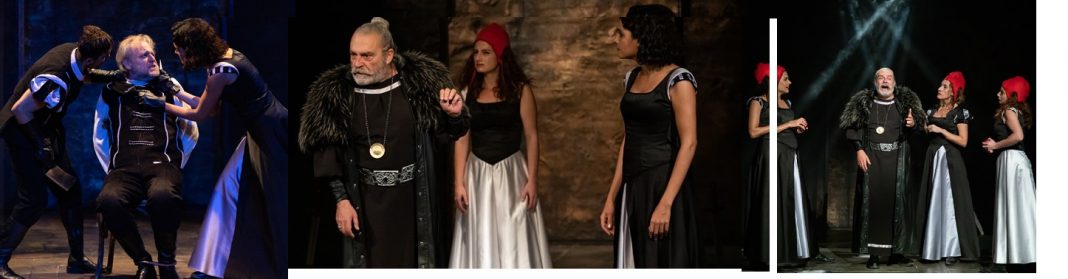 kral-lear-diren-sanat-sabit-dogan (2)