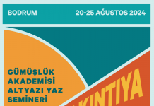 Altyazı Sinema Derneği’nin Yaz Semineri ‘Akıntıya Karşı Sinema’ Programı